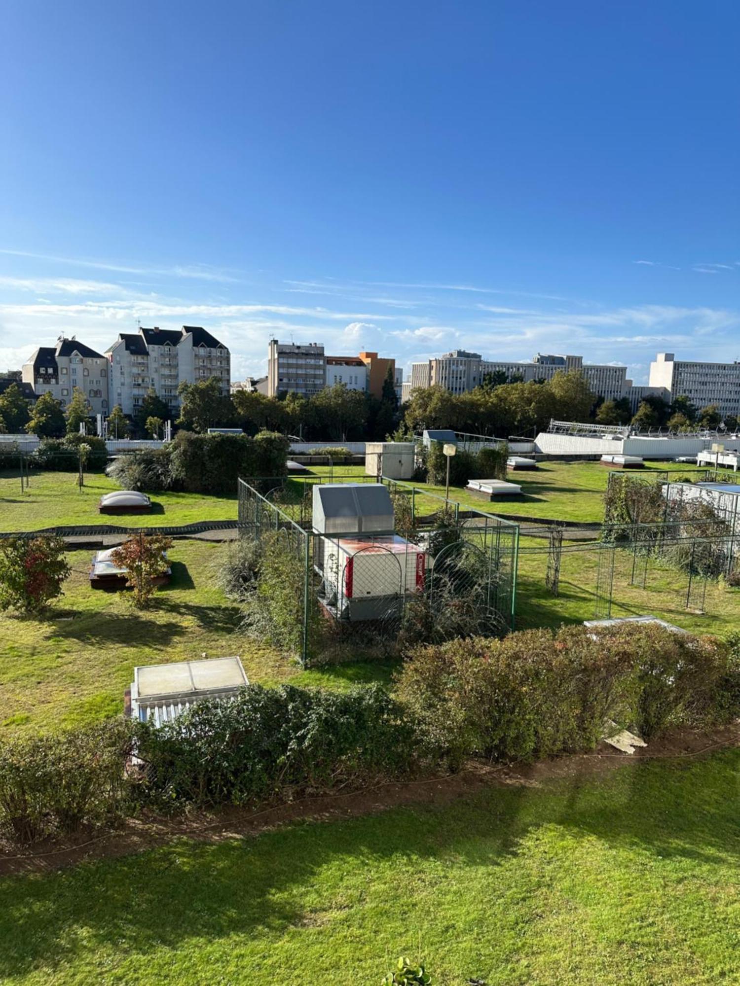 Superbe F3 Au Calme Hyper Centre Lejlighed Orléans Eksteriør billede